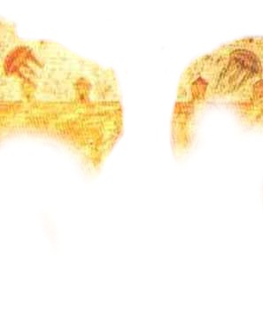 AXION SHAPE IN BACKGROUND MADONNA WITH SAINT GIOVANNINO disk shaped object. THIS TWO OBJECTS SHOWING TWO AXION SHAPE COMMING FROM OUTER ATMOSPHERE.