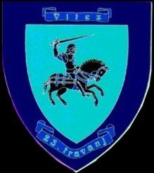 VITEZ_COAT_OF_ARM_NEGATIVE.jpg (16555 bytes)