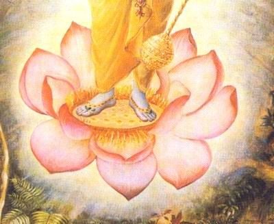 Rudolf Bosnjak discovery WHAT IS LOTOS FLOWER.