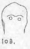 10B.jpg (2472 bytes)