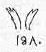 18A.jpg (1422 bytes)