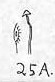 25A.jpg (1941 bytes)