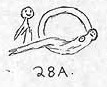 28A.jpg (4246 bytes)
