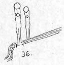 36.jpg (5232 bytes)