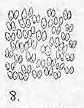 8.jpg (4810 bytes)
