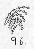 96.jpg (3245 bytes)