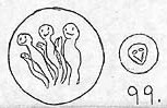 99.jpg (7384 bytes)