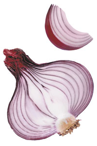 redonion.jpg (13591 bytes)