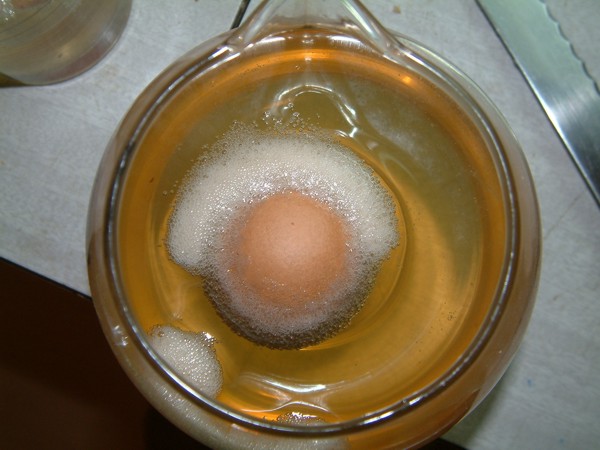 EGG CHICKEN IN  VINEGER WITH AIR BUBBLES