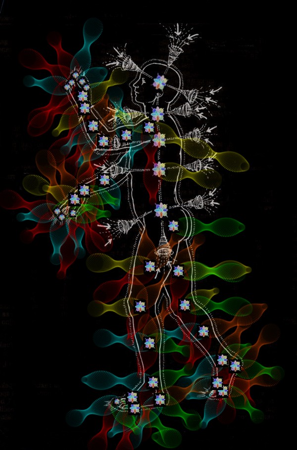 Rudolf_Bosnjak_discovery_CHAKRA_SRZ_SYSTEM_MORE_EXPLANATION_negative.jpg (123621 bytes)