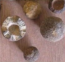Hematite spheres with sandstone cores, Moqui balls from Utah, USA.