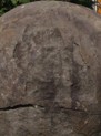 ALIEN  KUGLA HEAD DETAIL