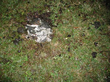 KUGLA_SPHERA_ZLOKUCA2_KAKANJ_BOSNIA.jpg (49002 bytes)