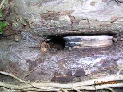 Laser Gun Hole Swithcerland