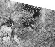 Bosna Landsat Sarajevo Siva.jpg (14978 bytes)