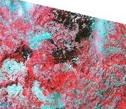 Bosna Landsat Sarajevo.jpg (17490 bytes)