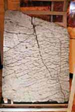 3-D Ural Map 120 Million years old