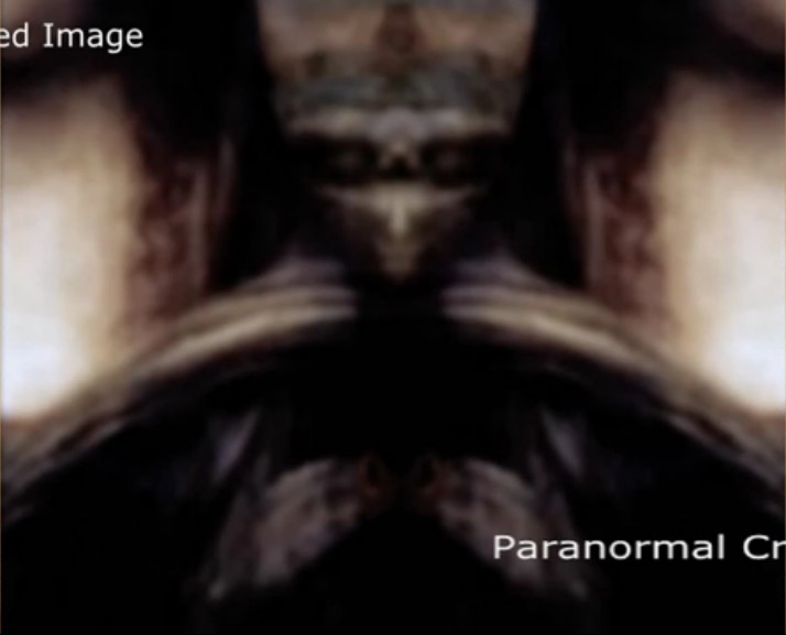 Compare what Leonardo da Vinci hide in Mona Lisa painting as alien Zeta Reticule pope.