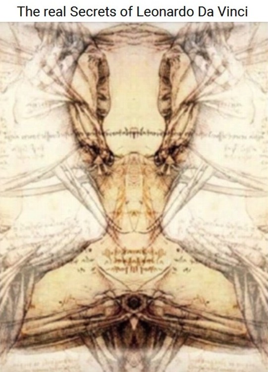 leonardo_alien_zeta_face.jpg (90267 bytes)