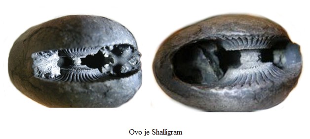 OVO_JE_SHALIGRAM.jpg (34274 bytes)