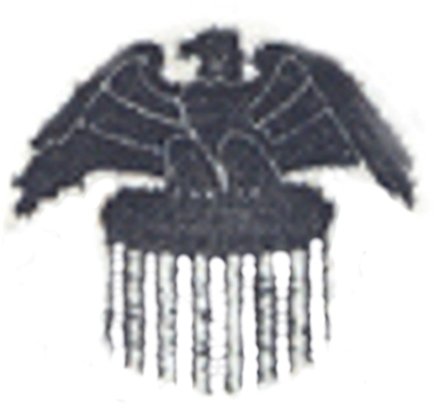 100$_EAGLE_RESETKA_POZITIV.jpg (72820 bytes)
