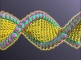 DNA_science_horisontal.jpg (7466 bytes)