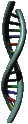 dna-gif.gif (12480 bytes)