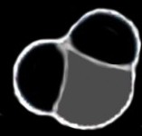 WATER MOLECULE NEGATIVE IMAGE