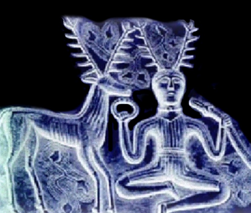 YOGA_VORTEX_IZNAD_GLAVE _JELENA_COVJEKA_NEGATIVE1.jpg (108720 bytes)
