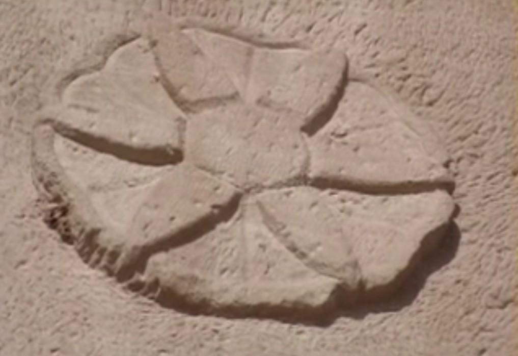 MADAIN_SALEH_GENERATOR_DRAWING1.jpg (90654 bytes)