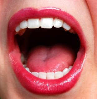 TEETH_AS_MAGNETIC_PRINCIPLE1.jpg (22512 bytes)
