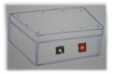 NT GREY BOX PROTOTYPE FOR EXTRACTING ELECTRIC CURRENT FROM VACUUM