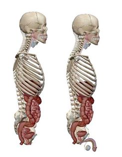 HUMAN FEMALE AND MALE VISIBLE SKELETON AS GALAXIES.
