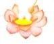 Rudolf Bosnjak discovery WHAT IS LOTOS FLOWER.