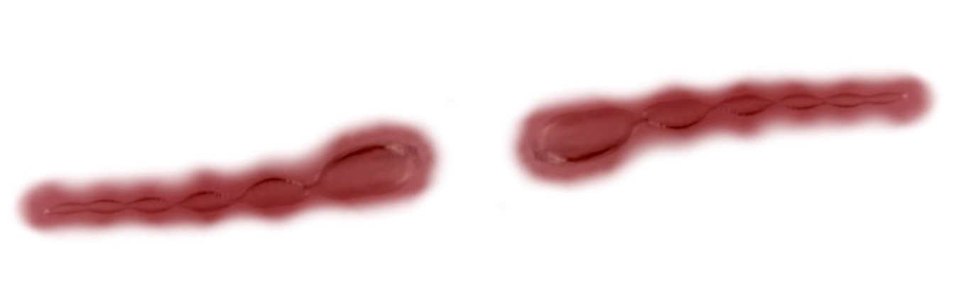 VISUALIZATION HOW LOOKS LIKE RADIATIVE SHAPE WAVE FROM BOTH SIDE FROM PERMANENT MAGNET FIELD